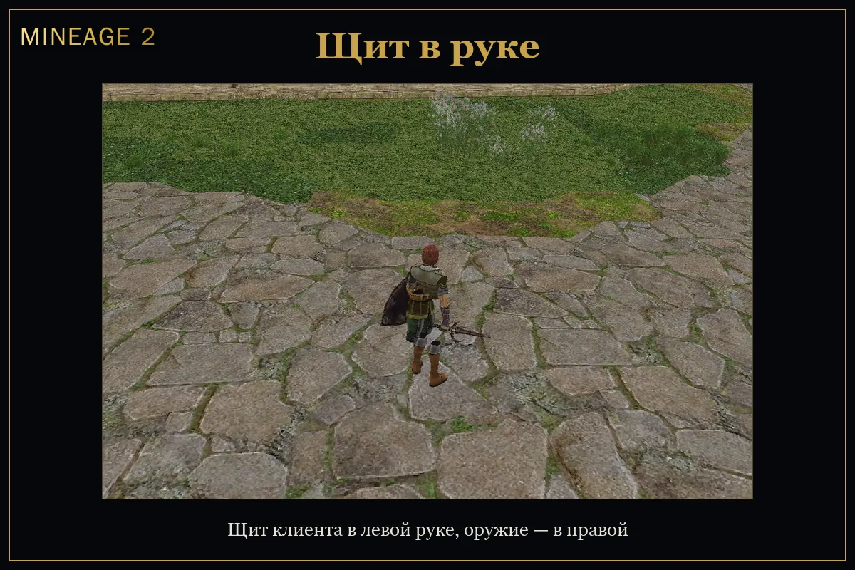 Щиты и новая экипировка — изображение 1