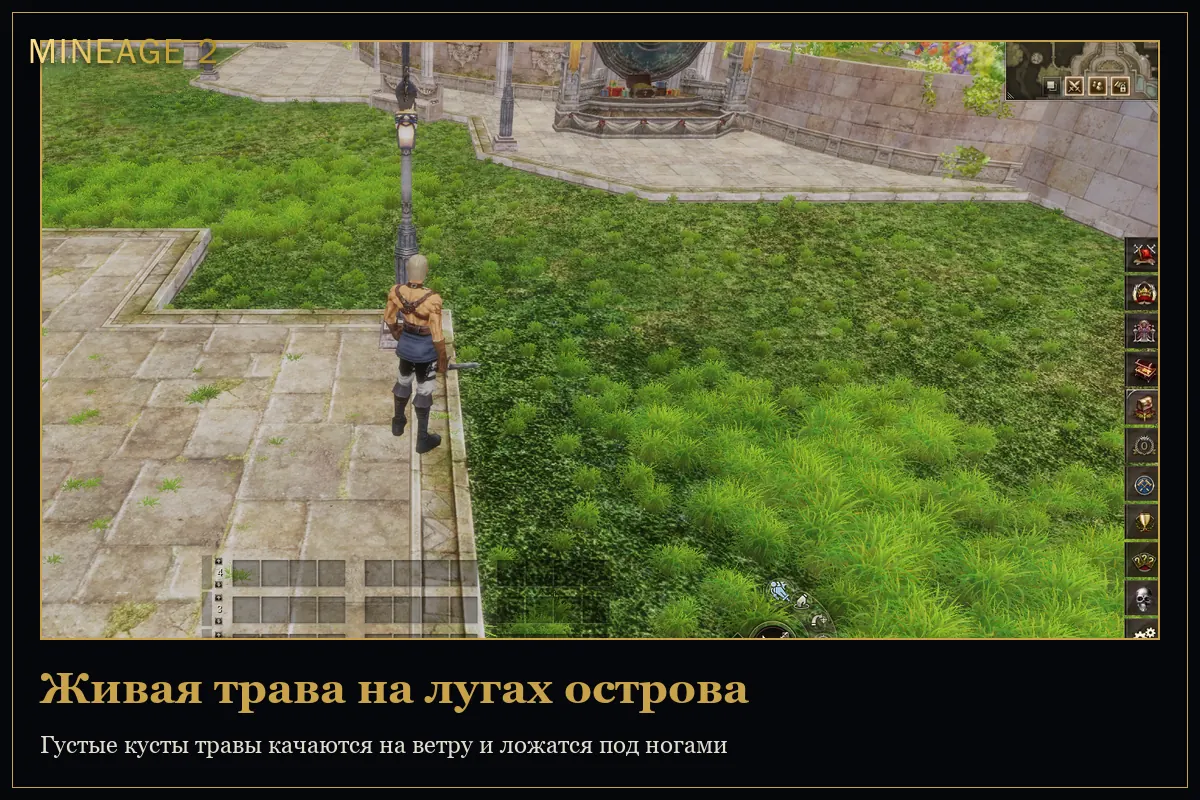 Живая трава, камешки и мокрый берег — изображение 1